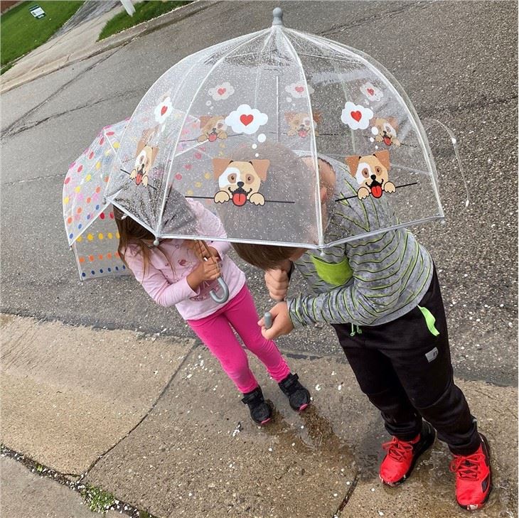 Custom Kids Bubble EVA Clear Dome Umbrella Print Dog Pattern
